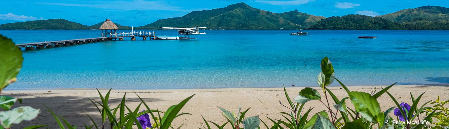 Turtle Island_Emily McAuliffe.jpg